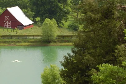 Browse Country Life lifestyle