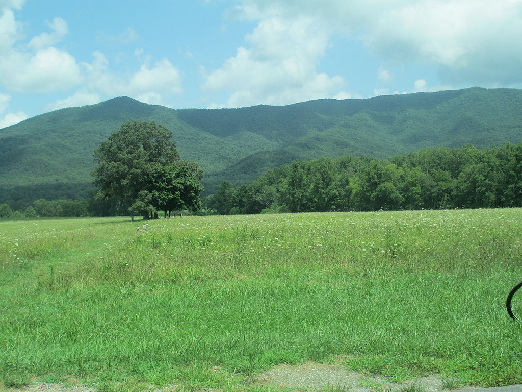 Cade's Cove in the Tennessee