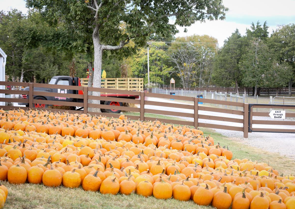 Image credit: Lucky Ladd Farms