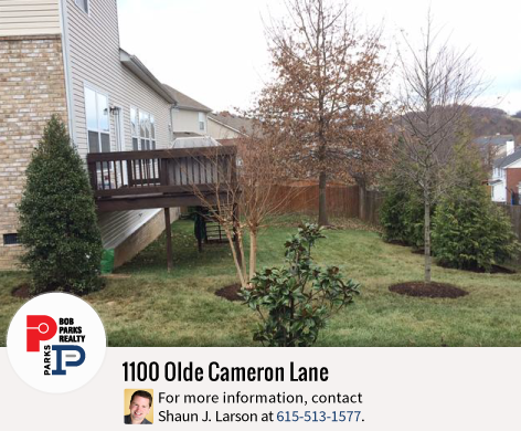 1100-Olde-Cameron-Lane-Franklin-TN-Home-for-Sale-Bob-Parks-Realty-Backyard