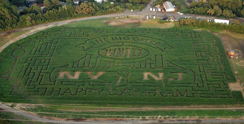 Falls-Most-Amazing-Corn-Mazes--4974e059fedf455eab805d55eacb6a7d