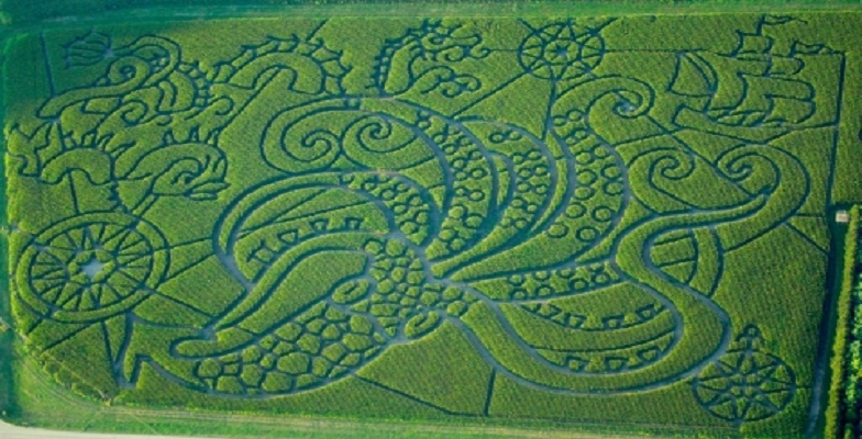 Falls-Most-Amazing-Corn-Mazes--5a3b56b6cd524ed7897817370ca8d915