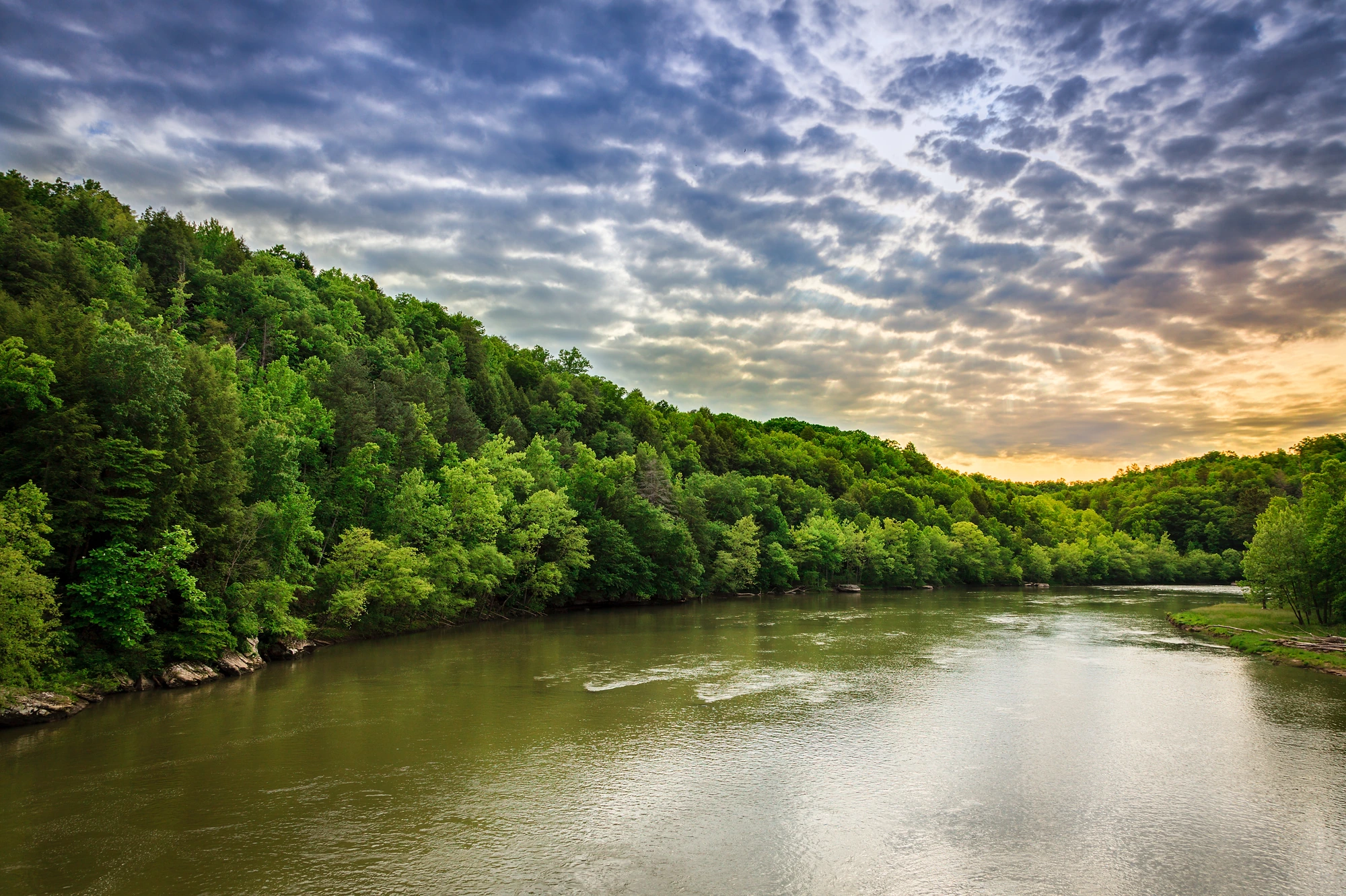 View of Cumberland River