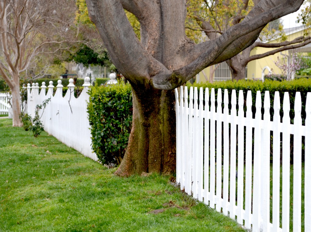 backyard-parks