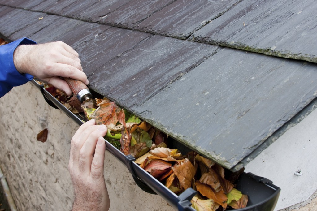 clogged-gutters-parks