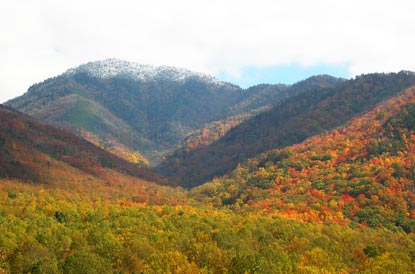 See the fall foliage at the Great Smokey Mountain National Park