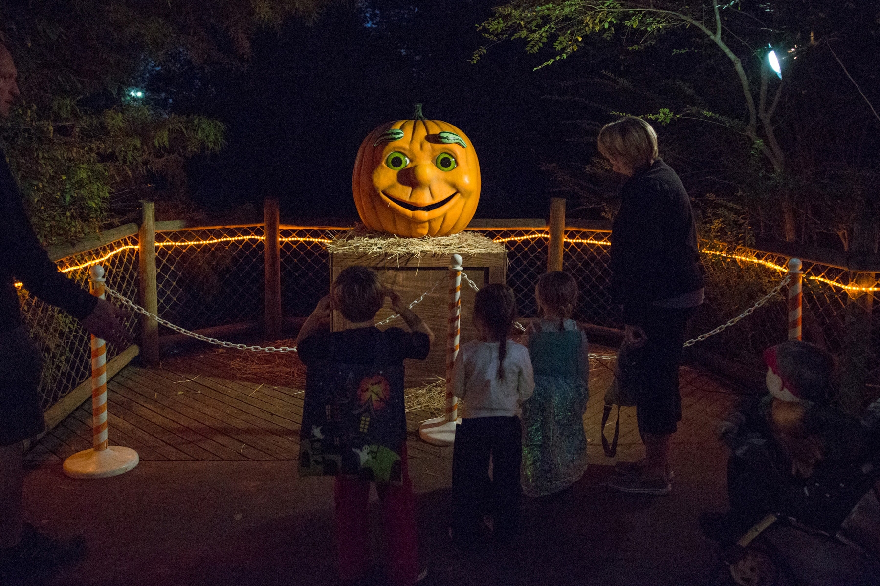 Image credit: Nashville Zoo at Grassmere