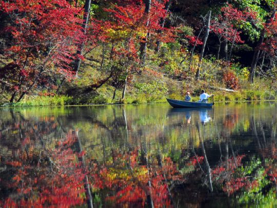 See the fall foliage at Montgomery Bell State Park