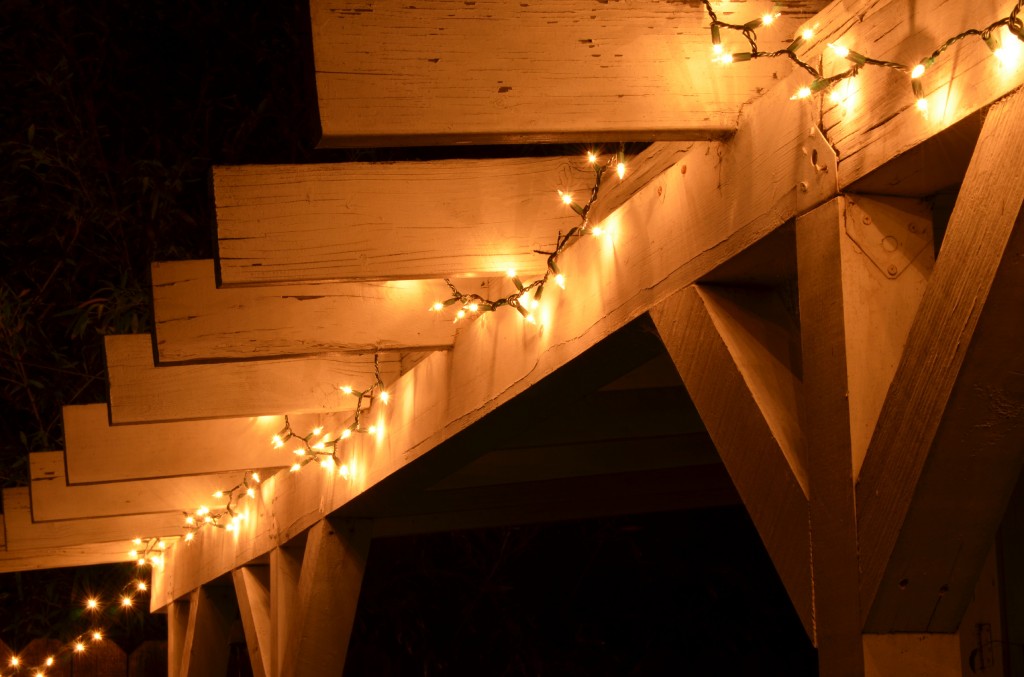 patio-lights-parks