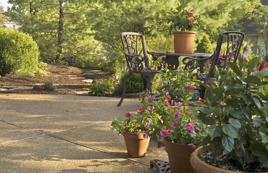 potted-plants-patio-parks
