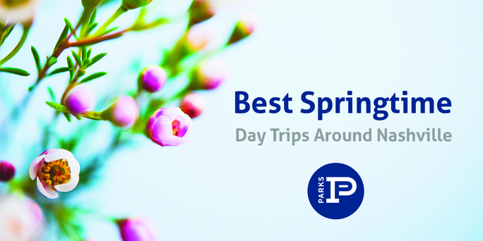 preview-full-Bestspringtrips