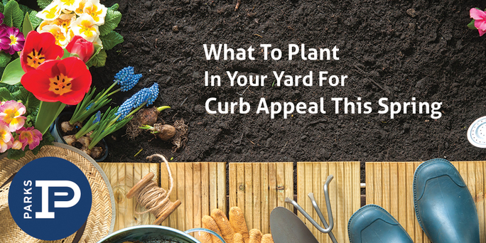 preview-full-Whattoplant_curbappeal