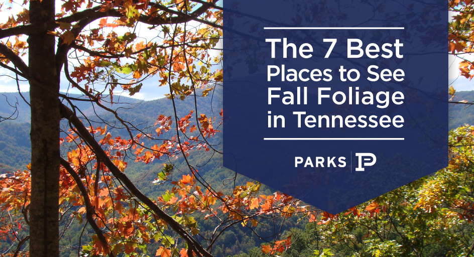 PARKS - The Best 7 Places to See Fall Foliage in Tennessee