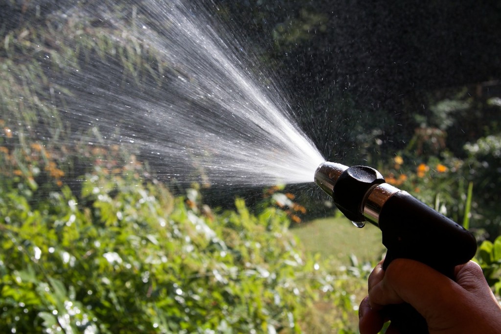 Water a Flower Day is May 30, 2015