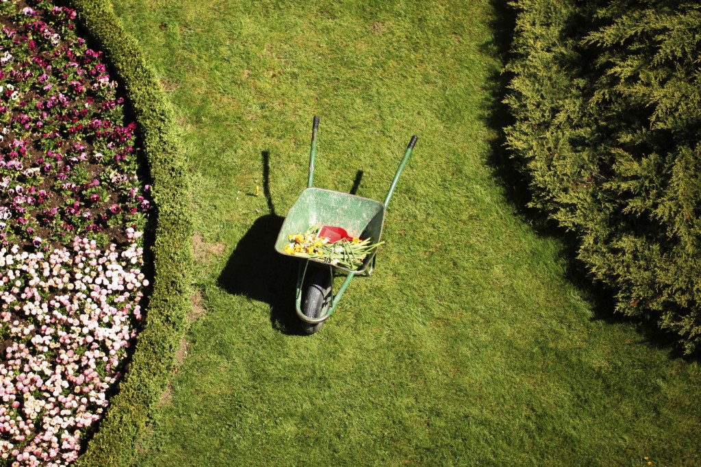 Work in garden